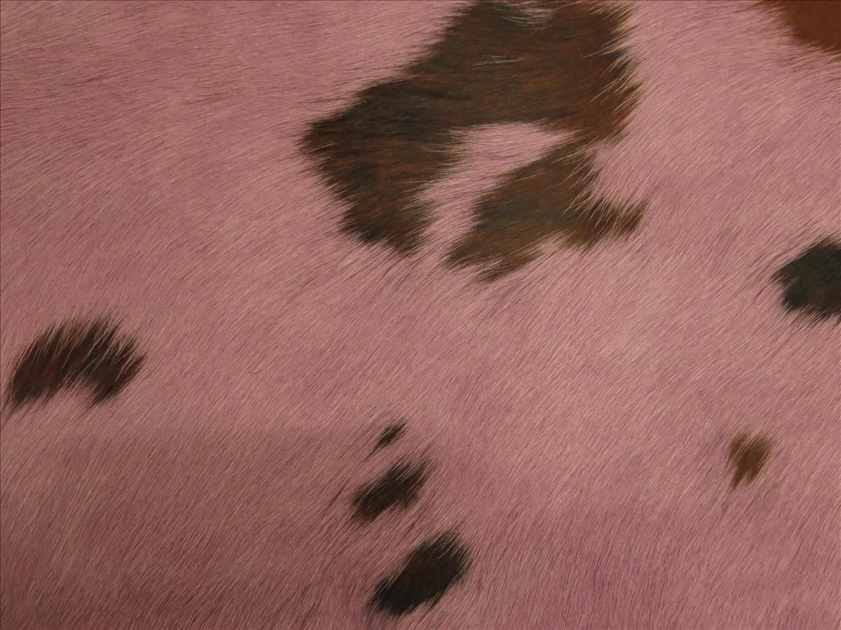 Moderní koberec Aston Cowhide Premium