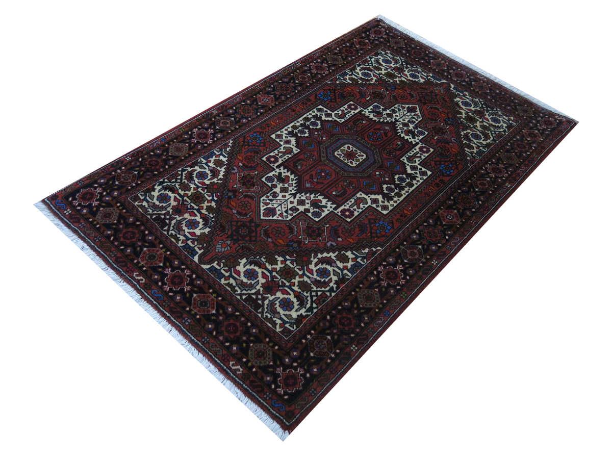Oriental rug Goltogh Exclusive