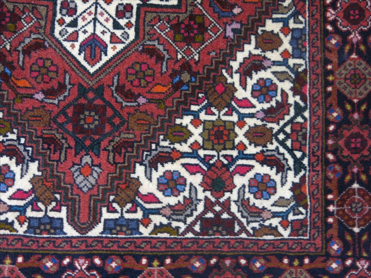 Oriental rug Goltogh Exclusive