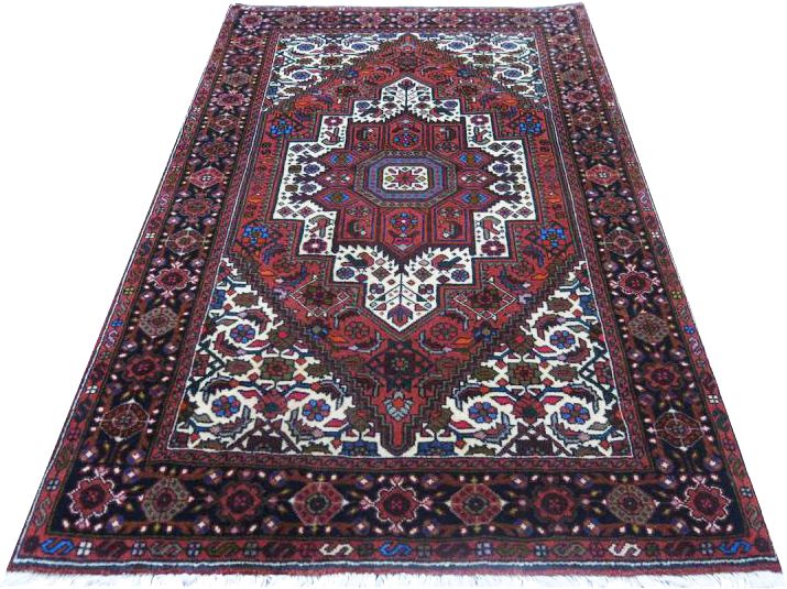 Oriental rug Goltogh Exclusive