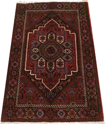 Oriental rug Goltogh Exclusive
