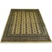 Oriental rug Bukhara Exclusive