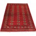 Oriental rug Bukhara Exclusive