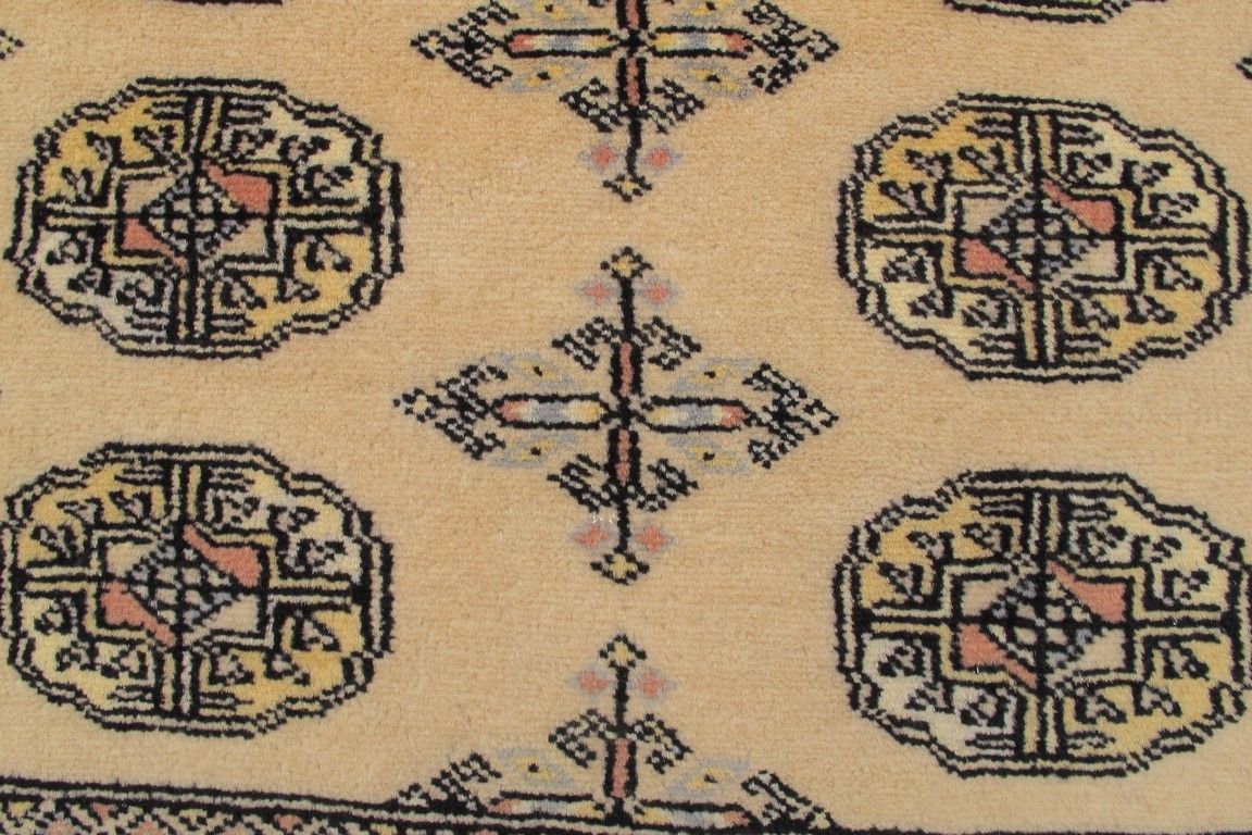 Oriental rug Bukhara Exclusive