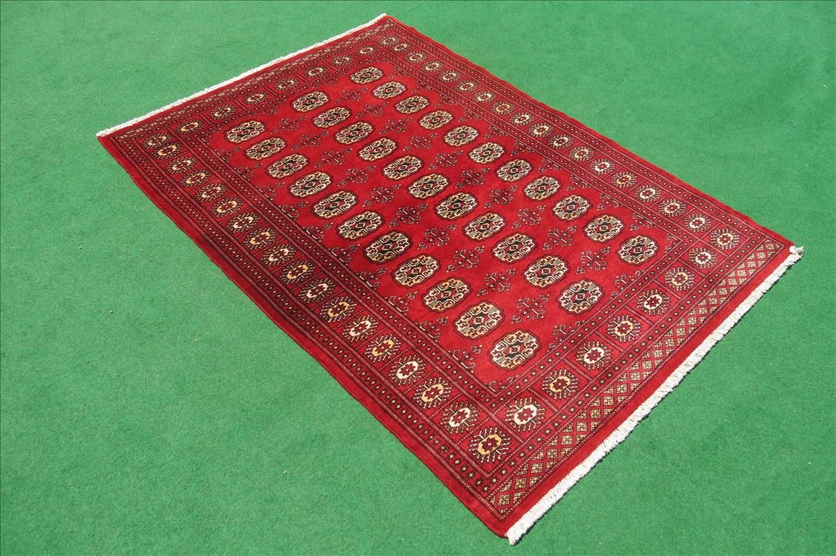 Oriental rug Bukhara Exclusive