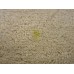 Modern rug Berber