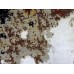 Modern rug Ikat Premium