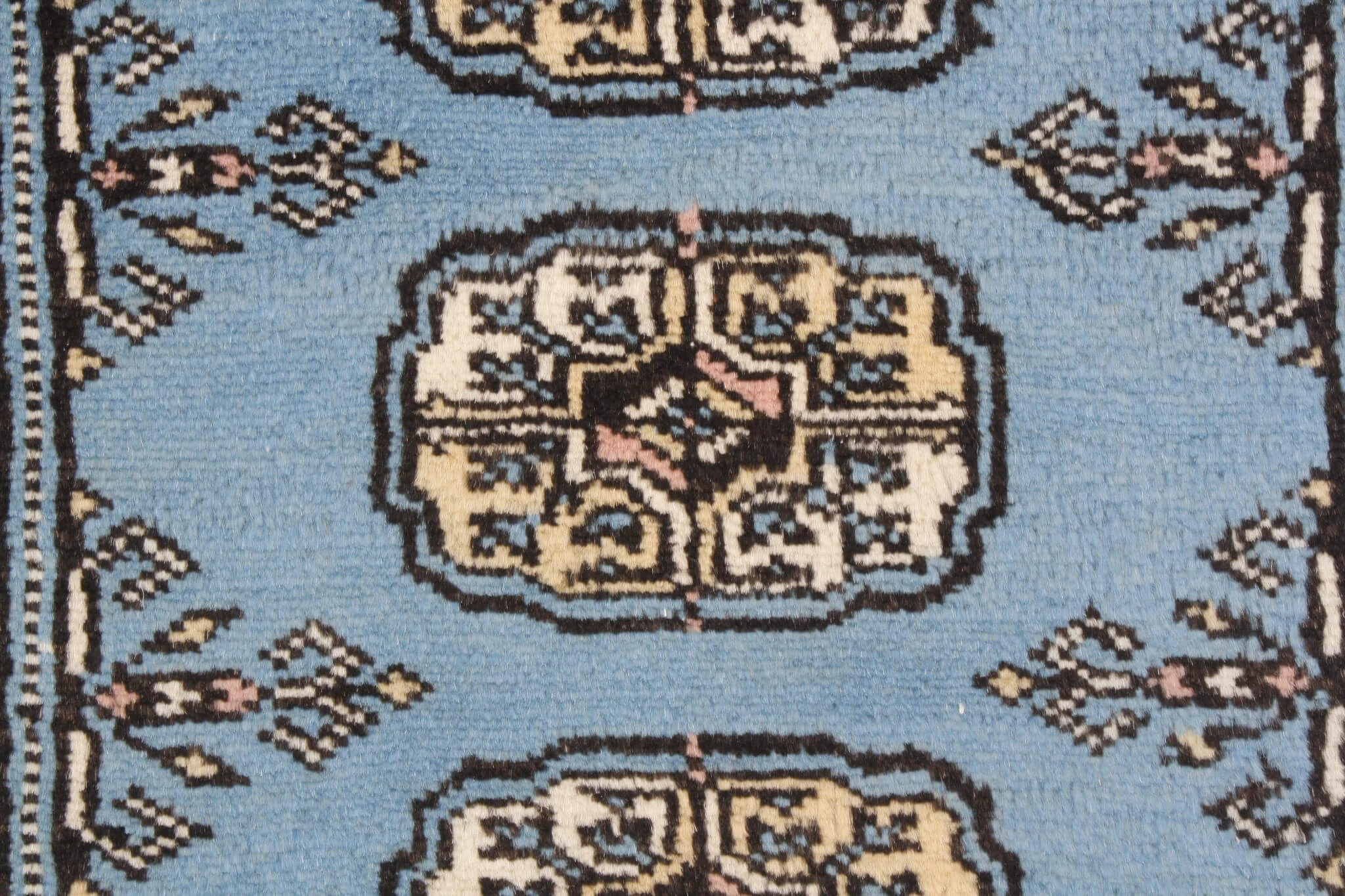 Oriental rug Bukhara Exclusive