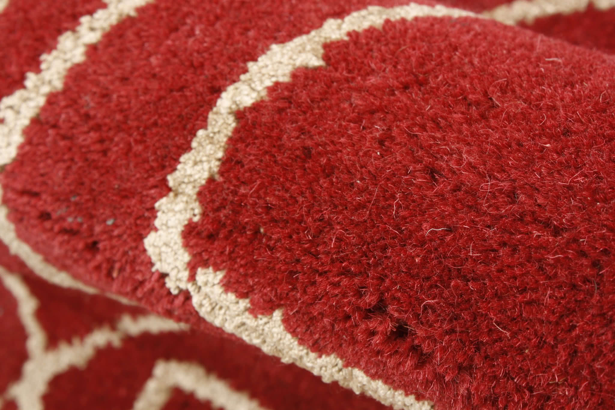Oriental rug Carrara Premium