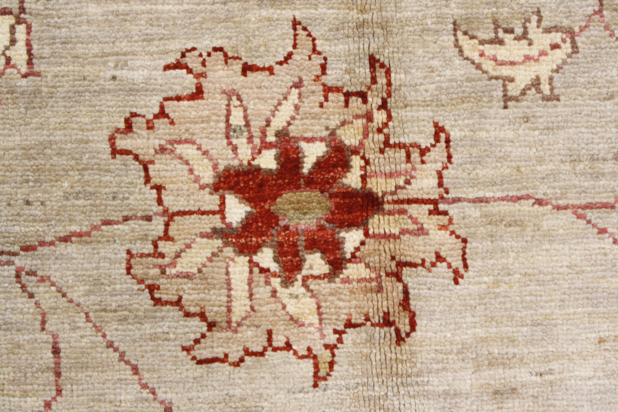 Oriental rug Ziegler