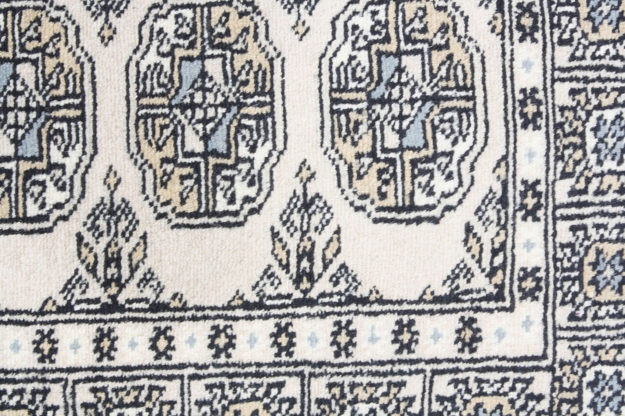 Oriental rug Bukhara Premium