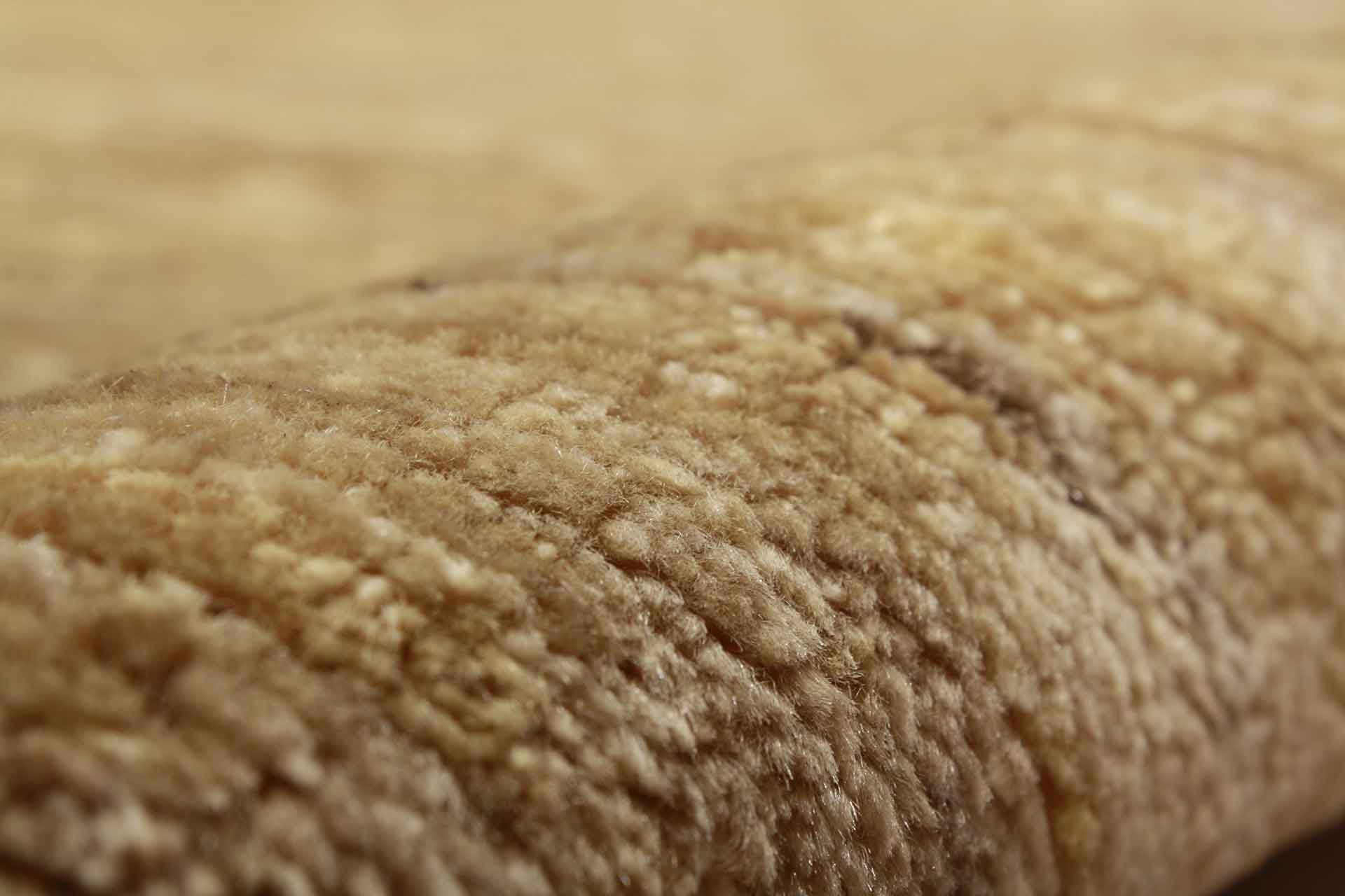 Oriental rug Ziegler Modern Exclusive