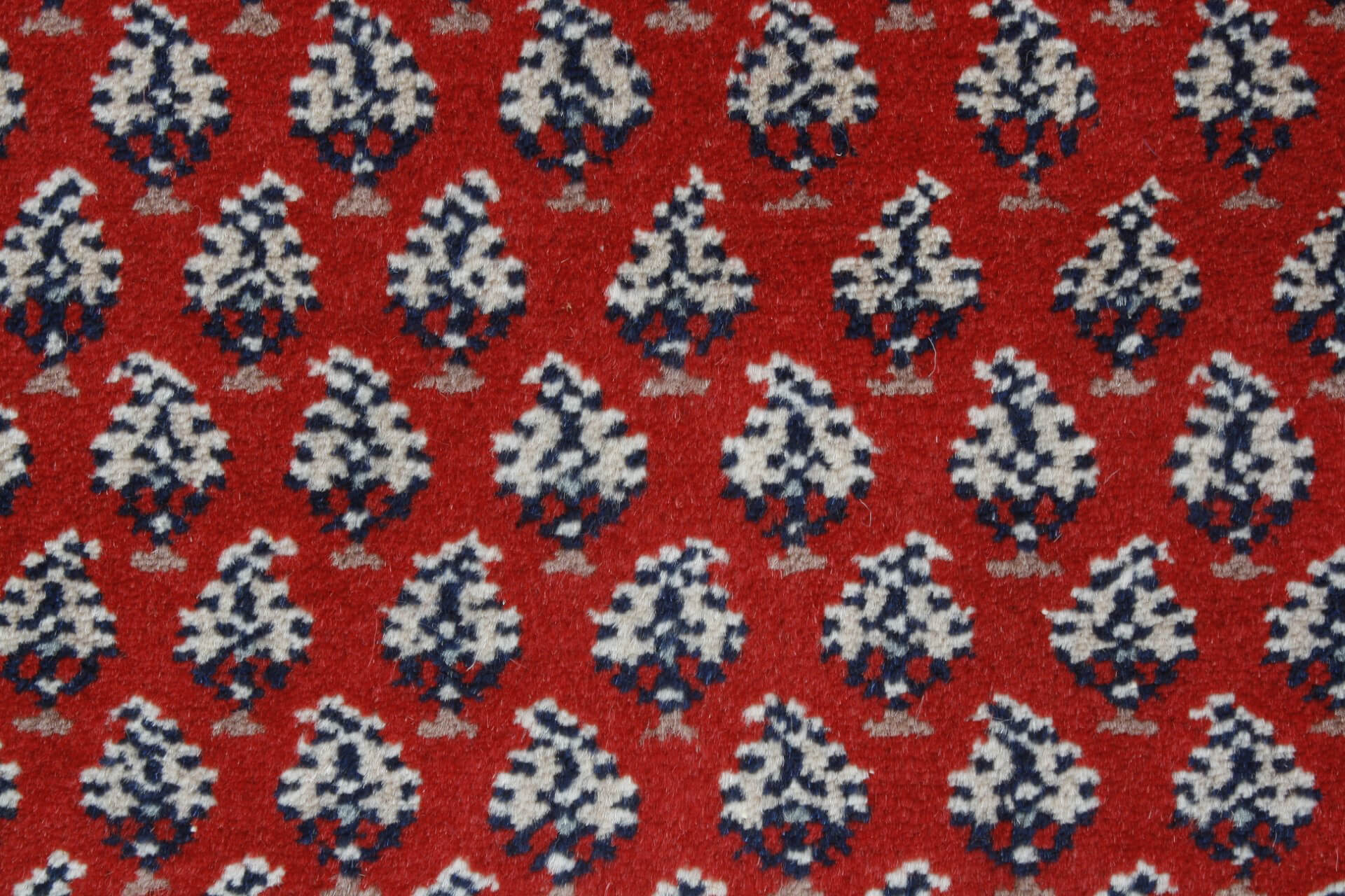 Oriental rug Mir