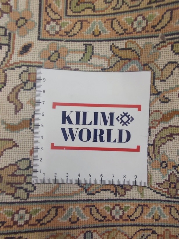 Kashmir Silk Exclusive