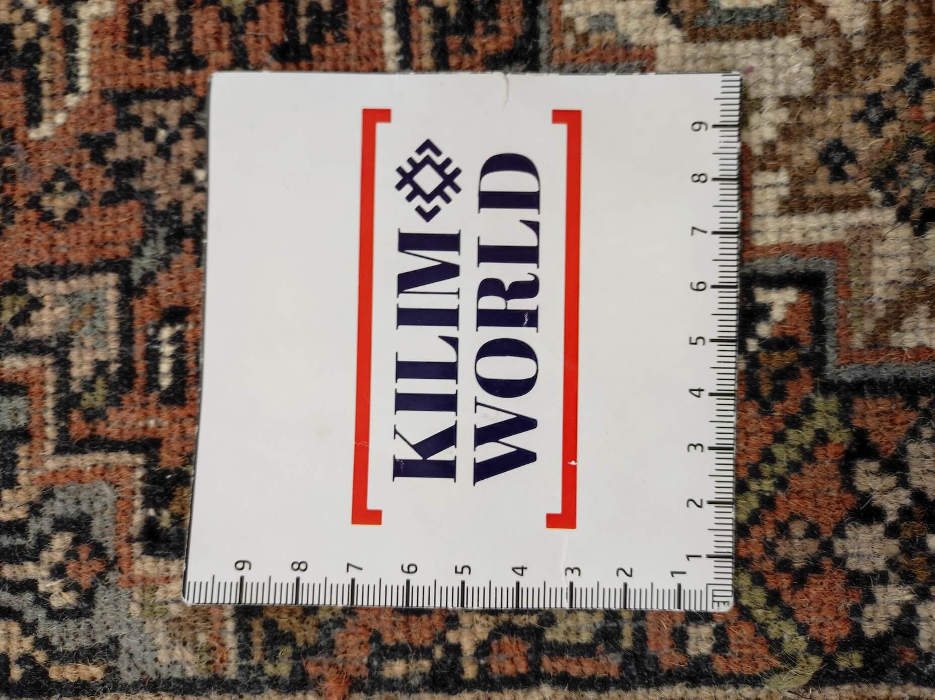 Oriental rug Bijar Exclusive