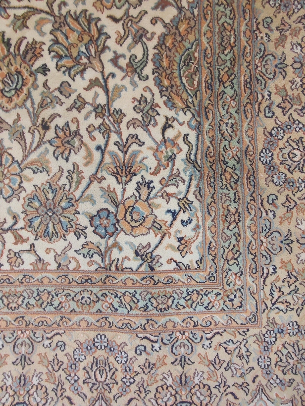 Kashmir Silk Exclusive
