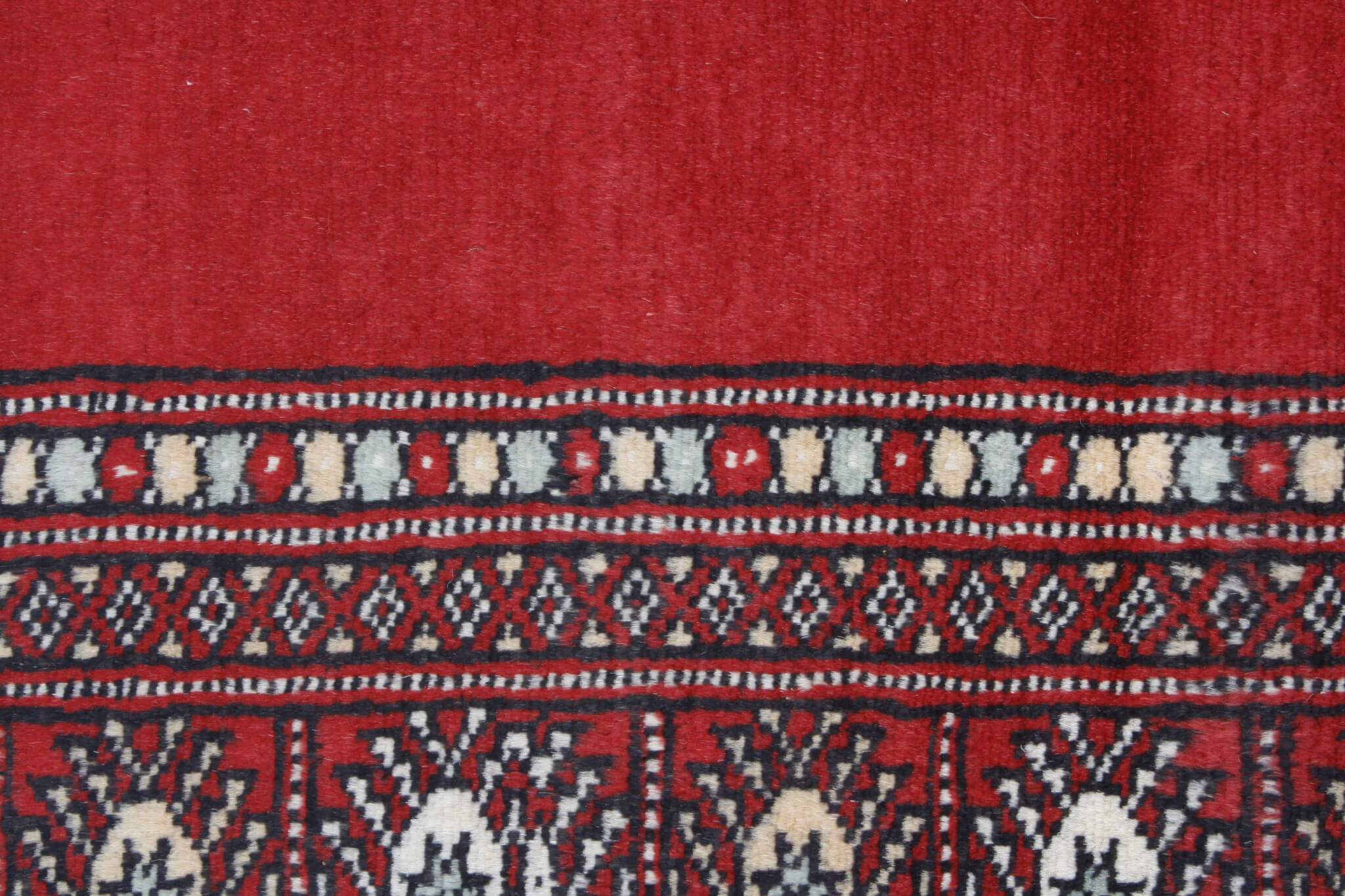 Oriental rug Bukhara Premium
