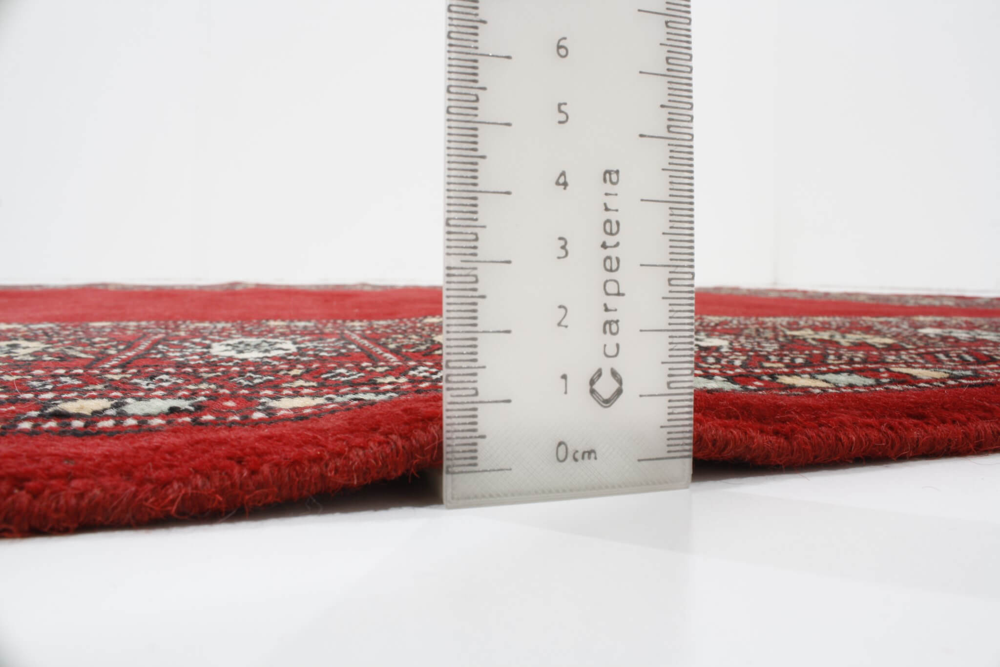 Oriental rug Bukhara Premium
