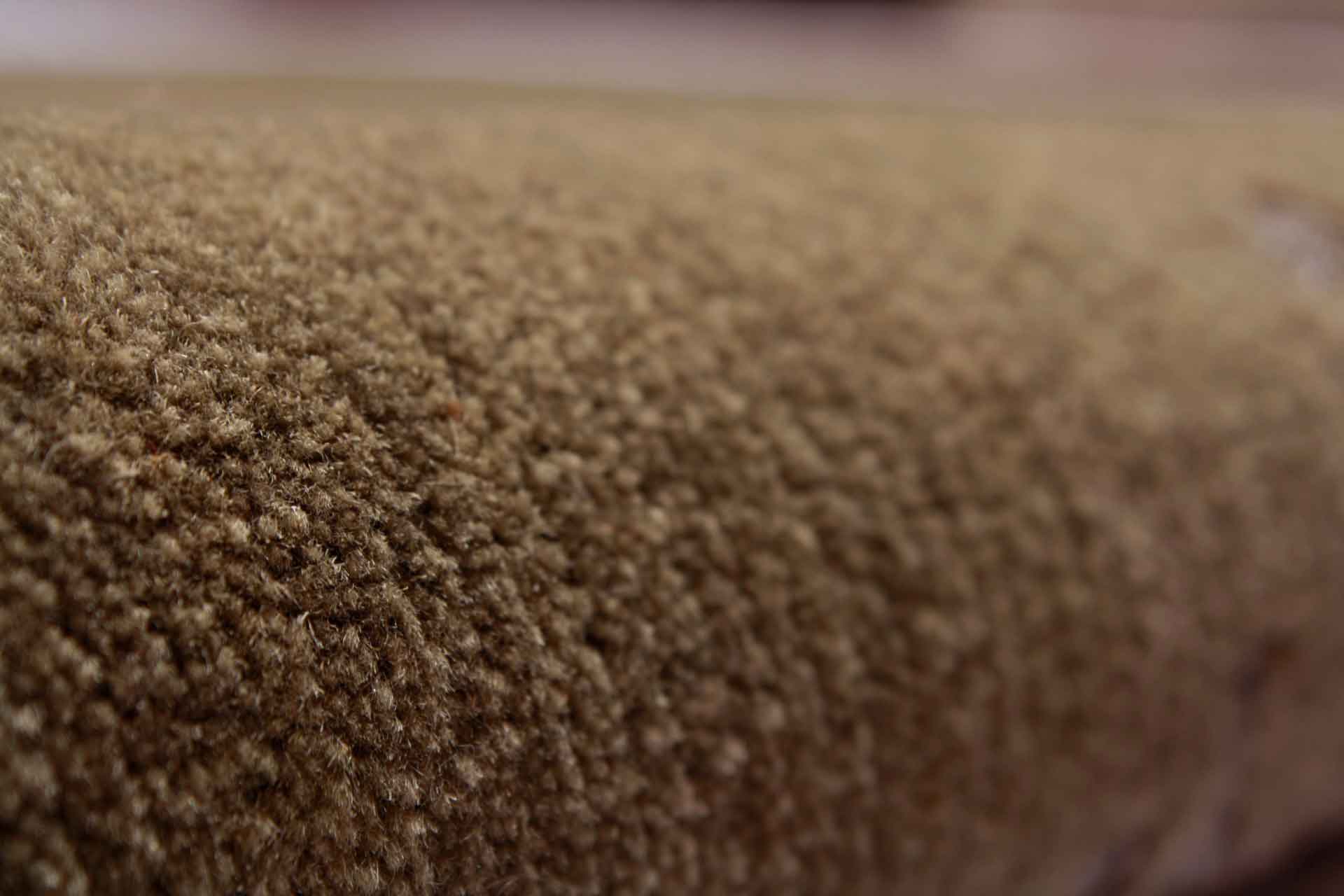 Modern rug Linia Royal
