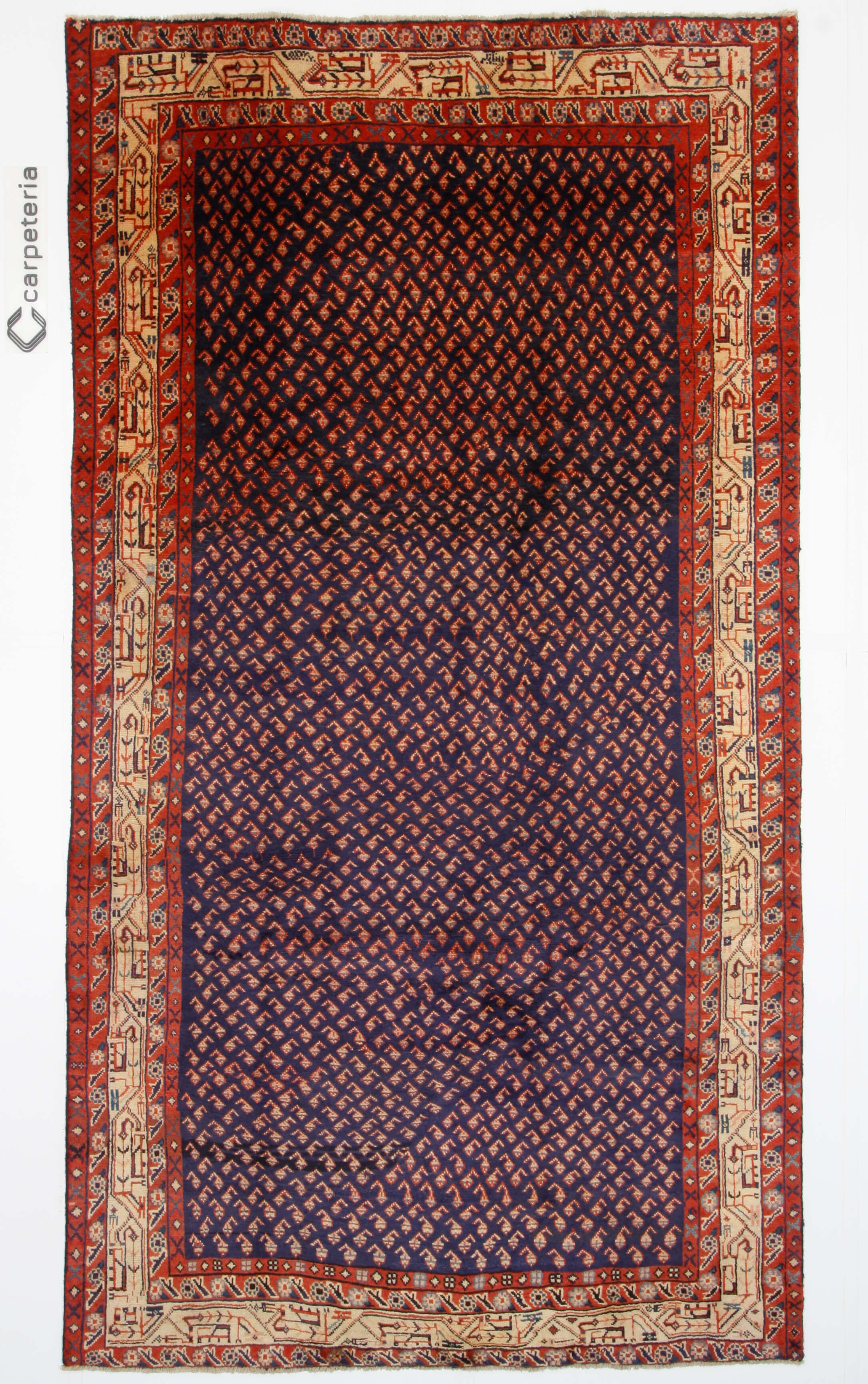 Persian rug Sarough Mir