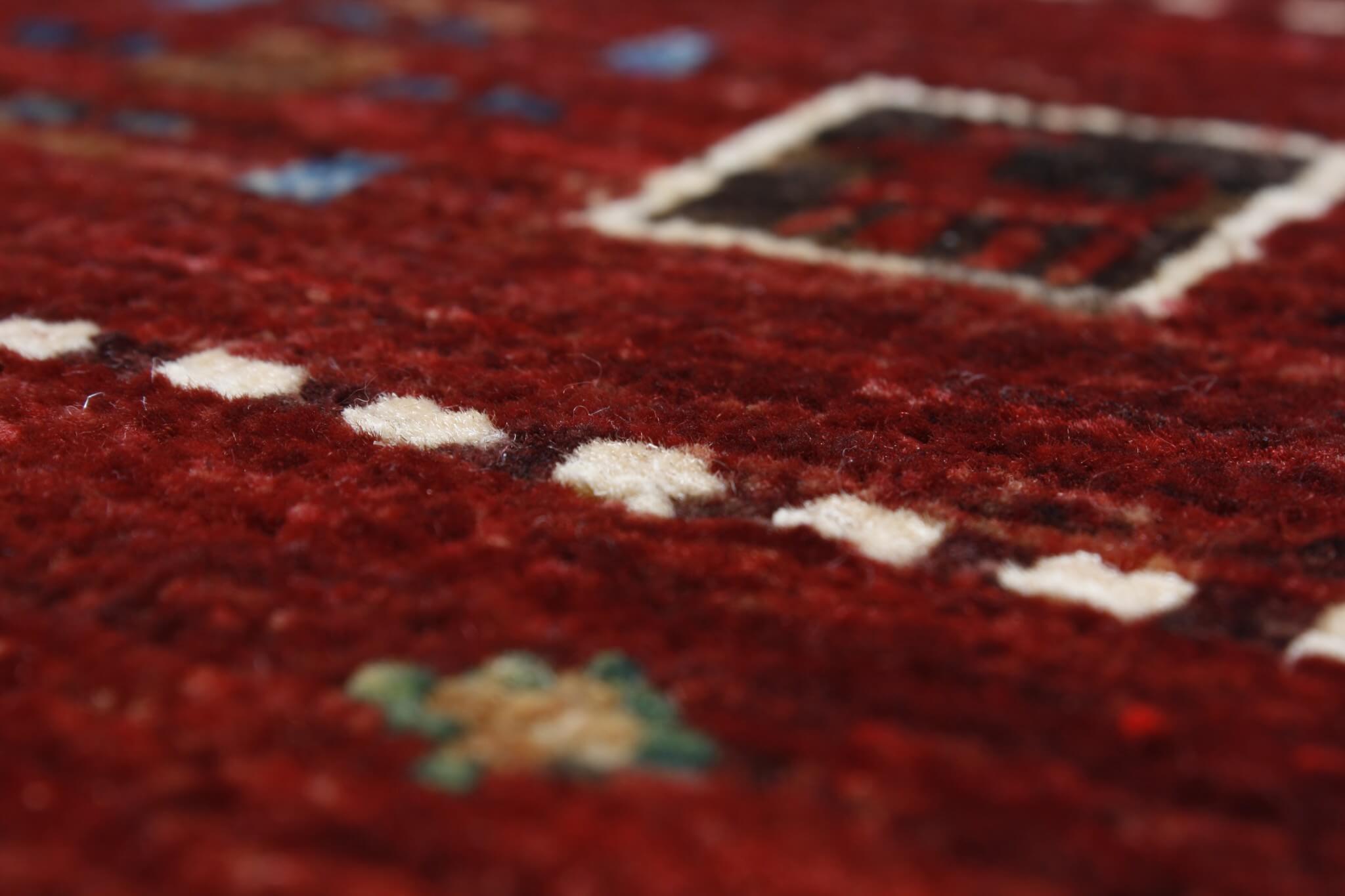 Oriental rug Ariana Exclusive