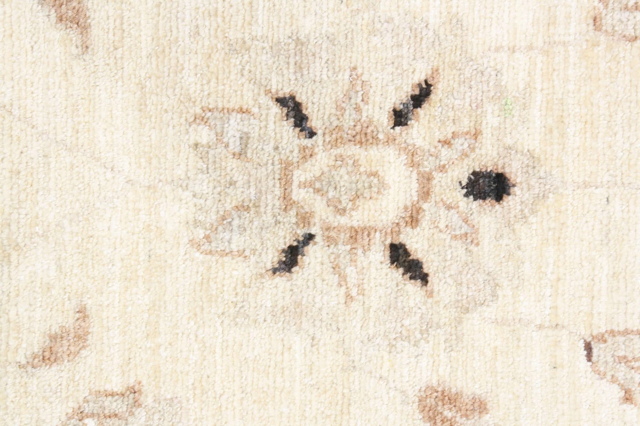 Oriental rug Ziegler Exclusive