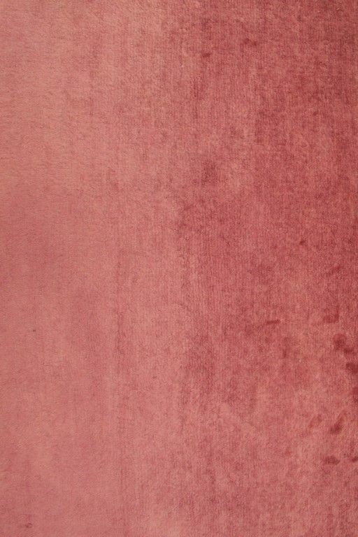 Oriental rug Bukhara Exclusive