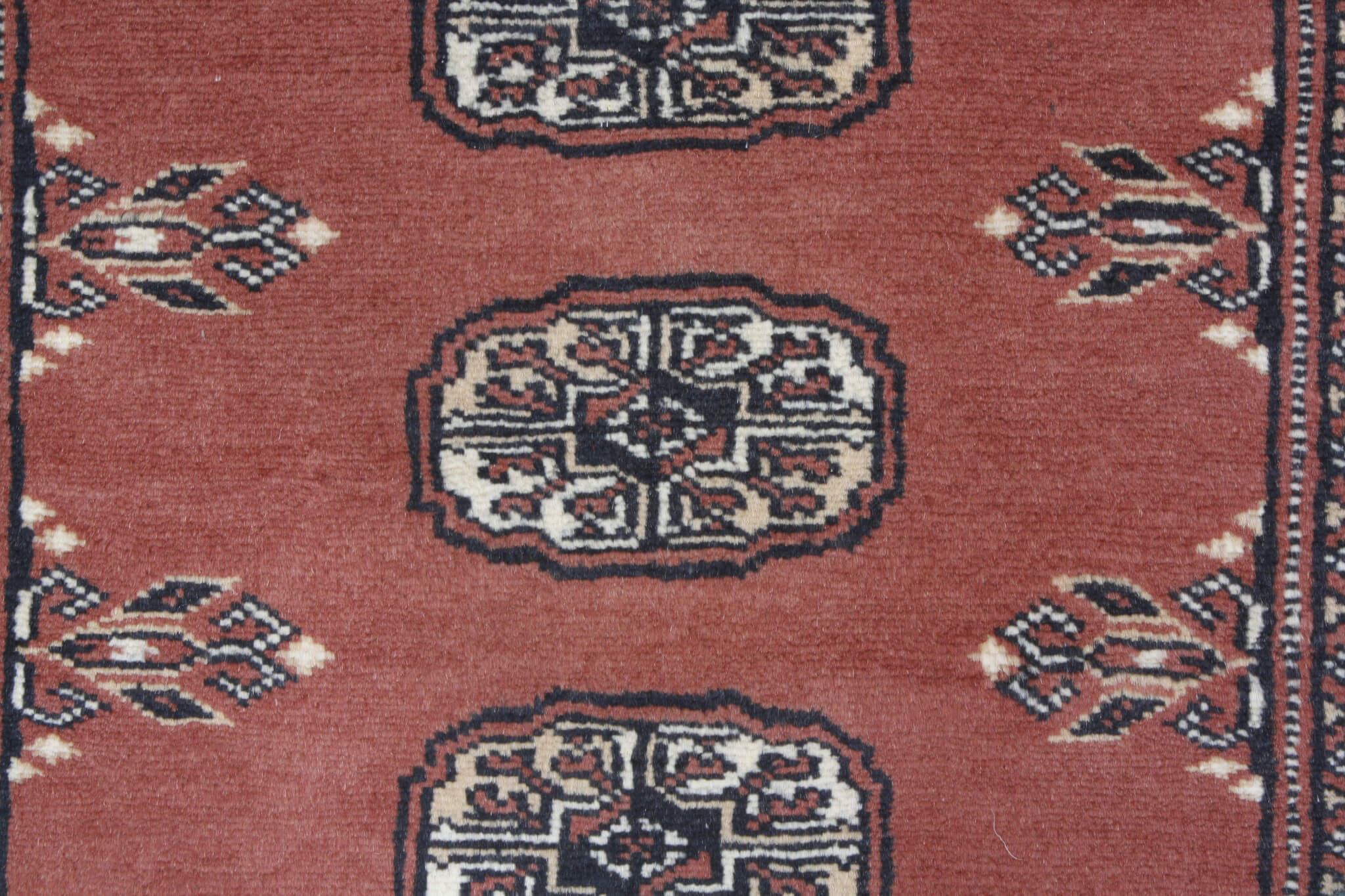 Oriental rug Bukhara Exclusive