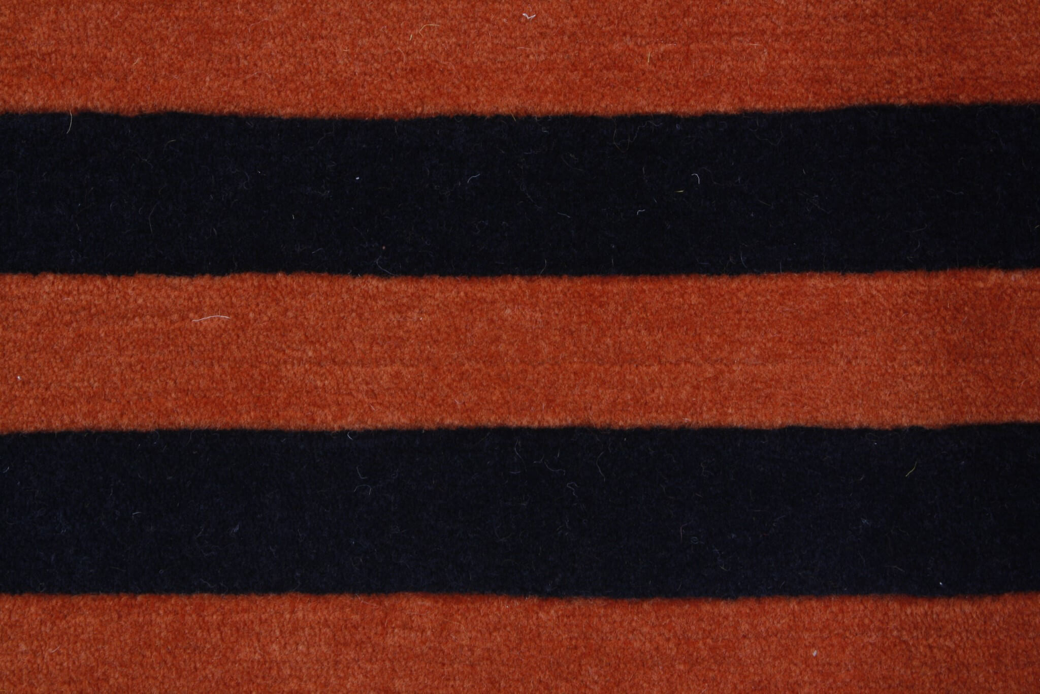 Modern rug Dolpa Royal