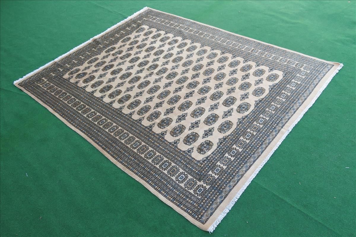Oriental rug Bukhara Exclusive