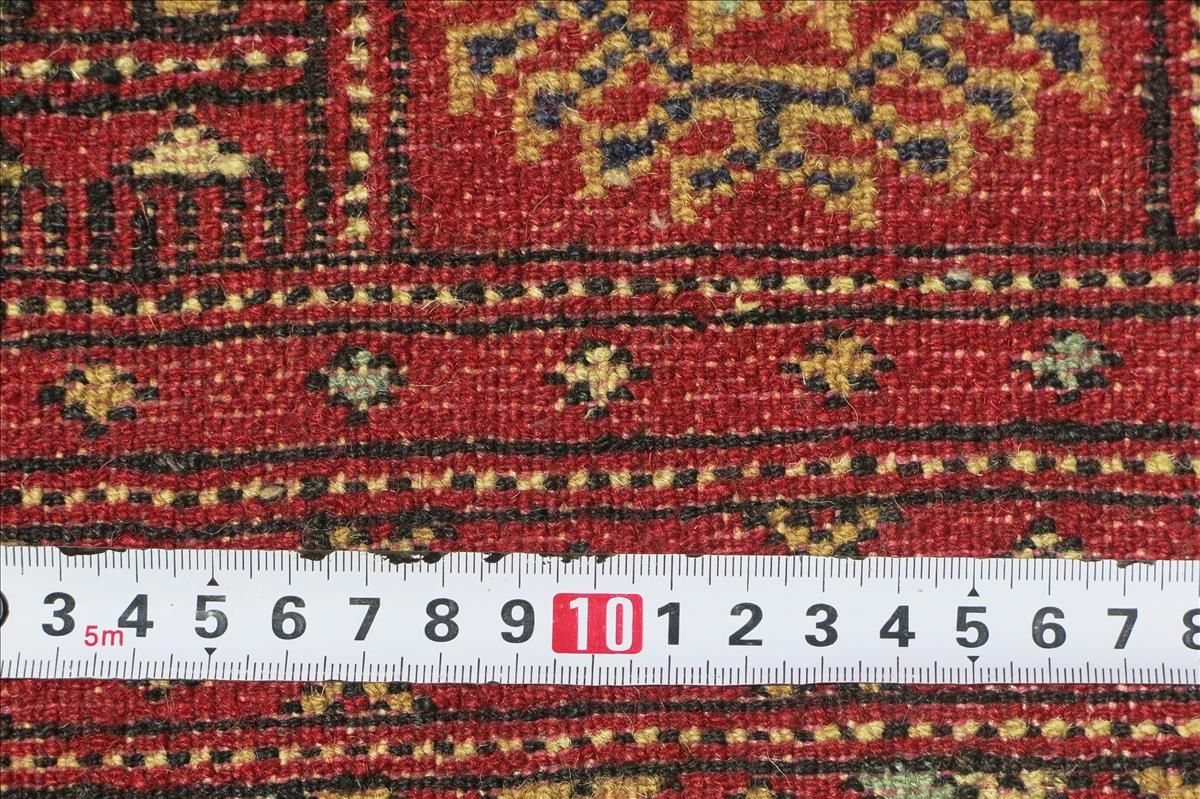 Oriental rug Bukhara Exclusive