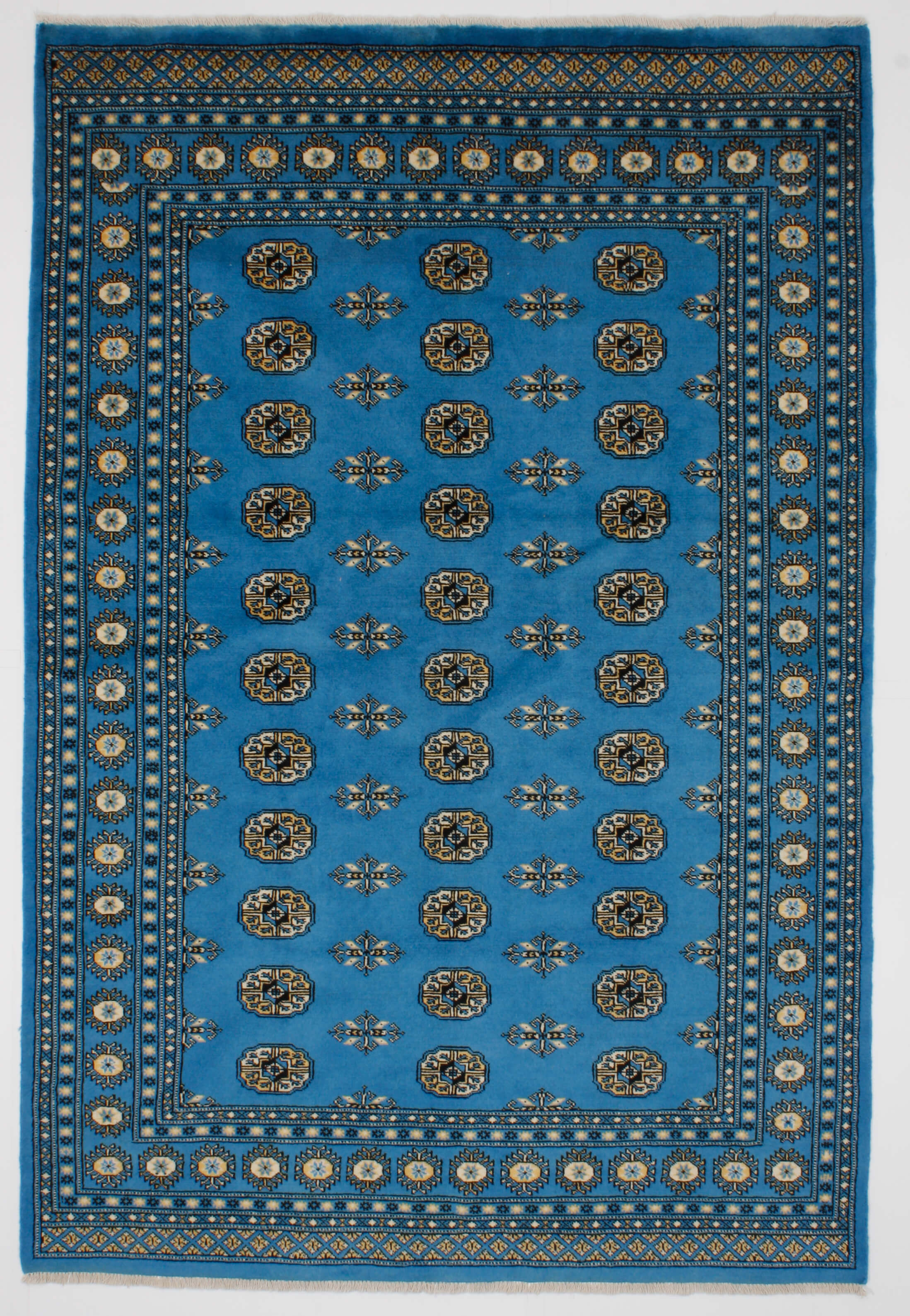 Oriental rug Bukhara Exclusive