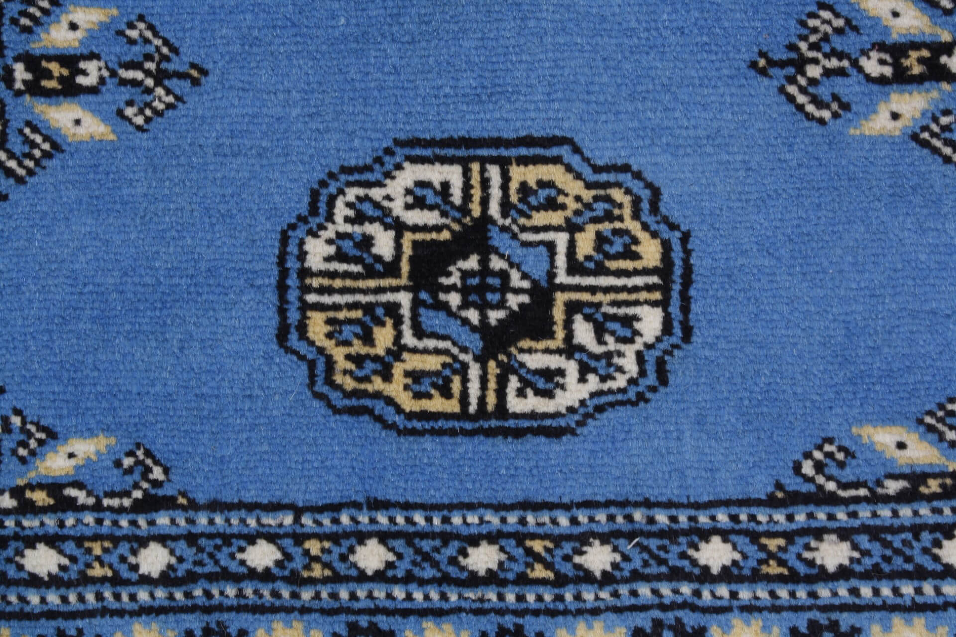 Oriental rug Bukhara Exclusive