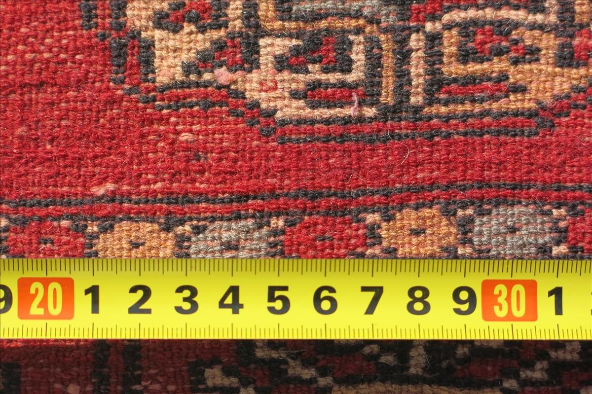 Oriental rug Bukhara Exclusive