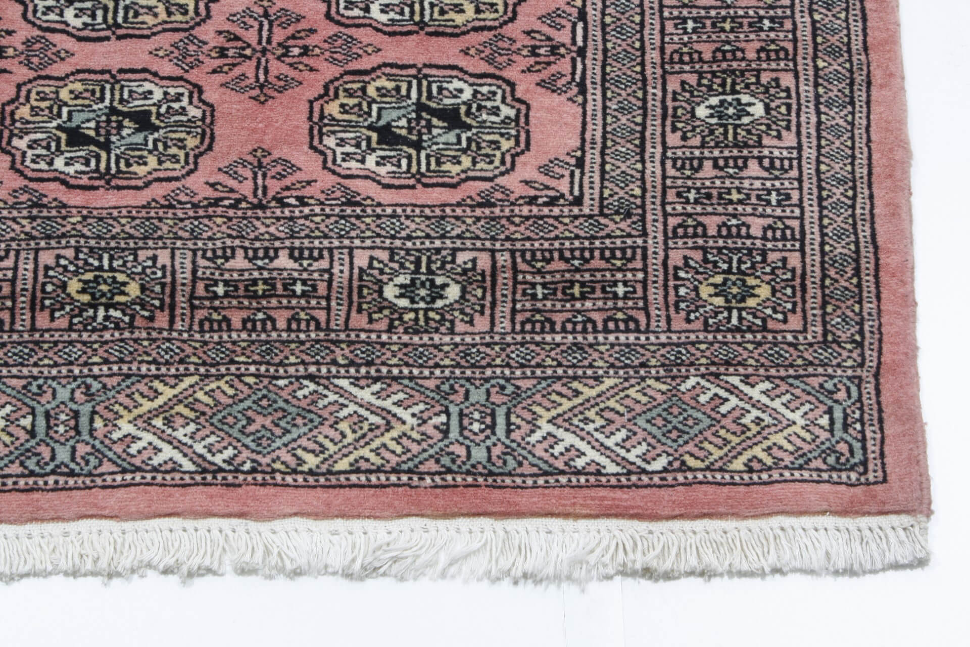 Oriental rug Bukhara Exclusive