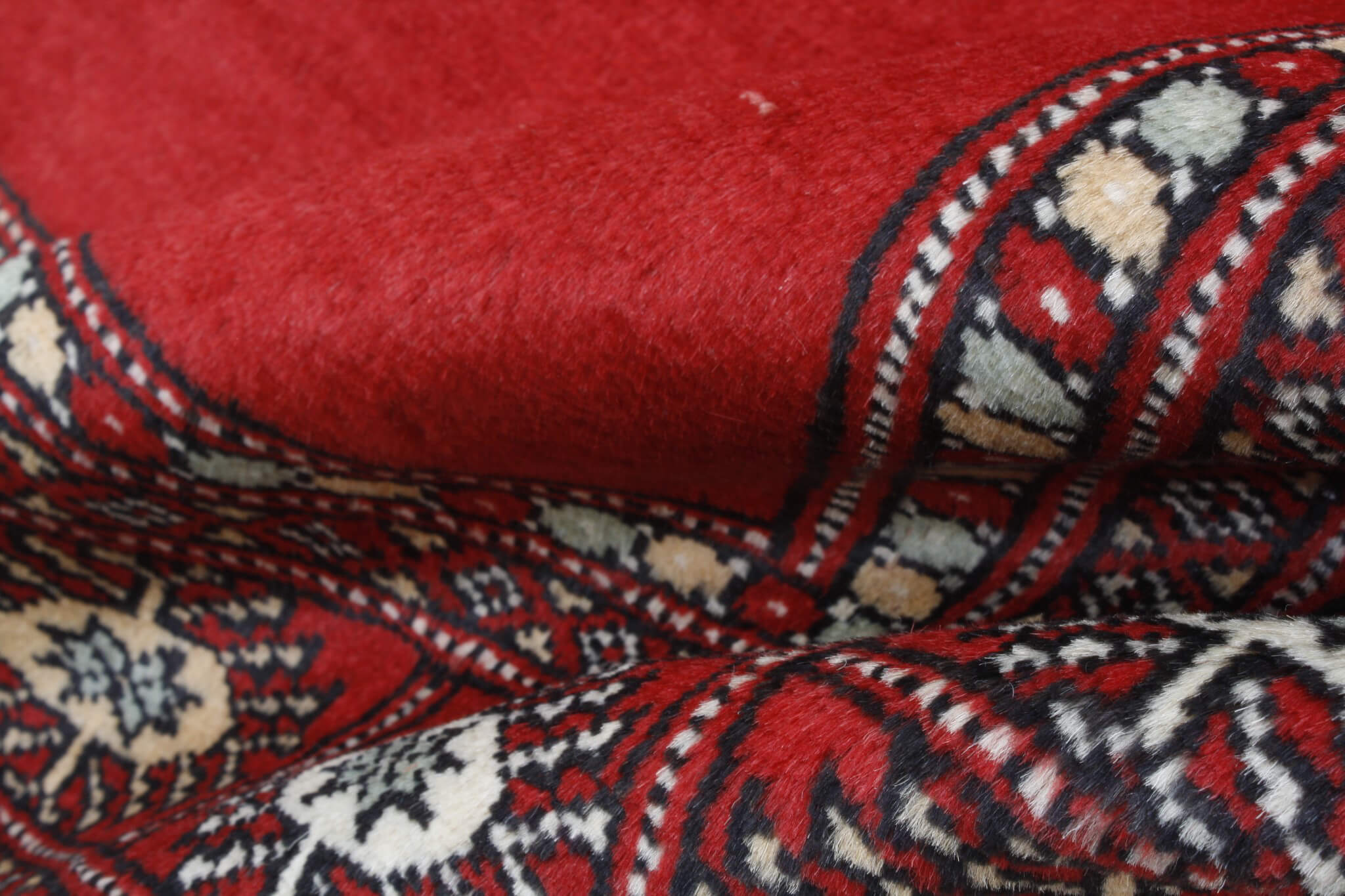 Oriental rug Bukhara Premium