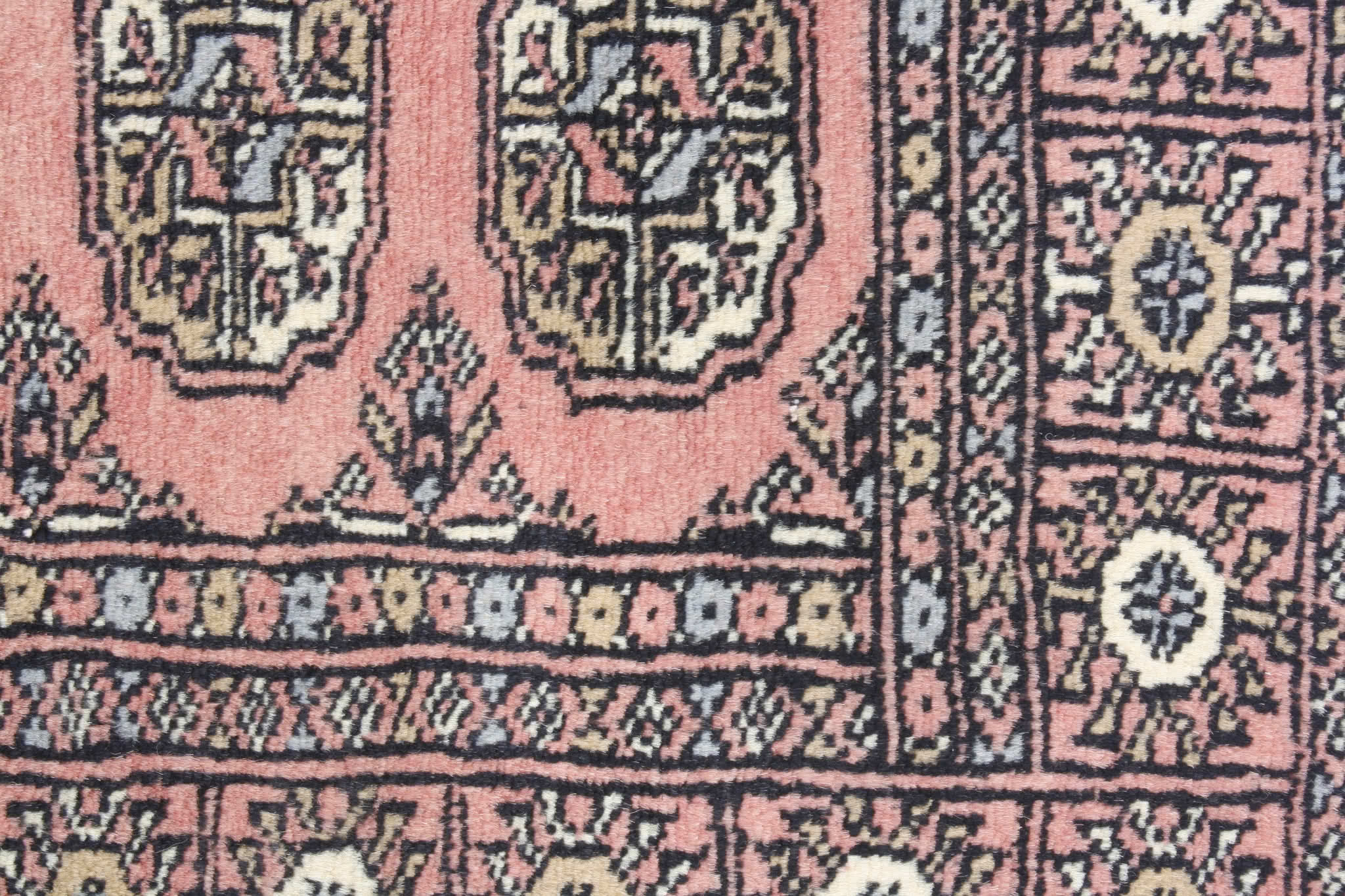 Oriental rug Bukhara Premium