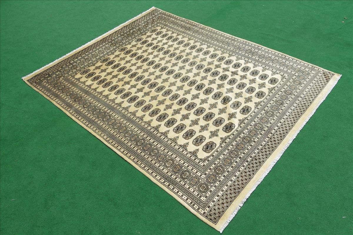 Oriental rug Bukhara Exclusive