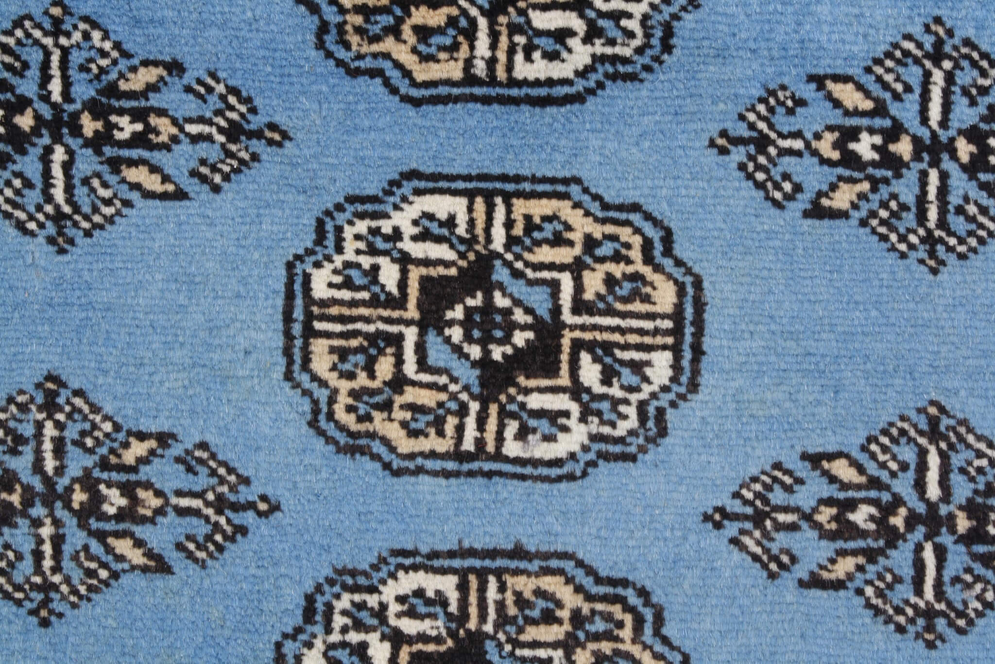 Oriental rug Bukhara Exclusive