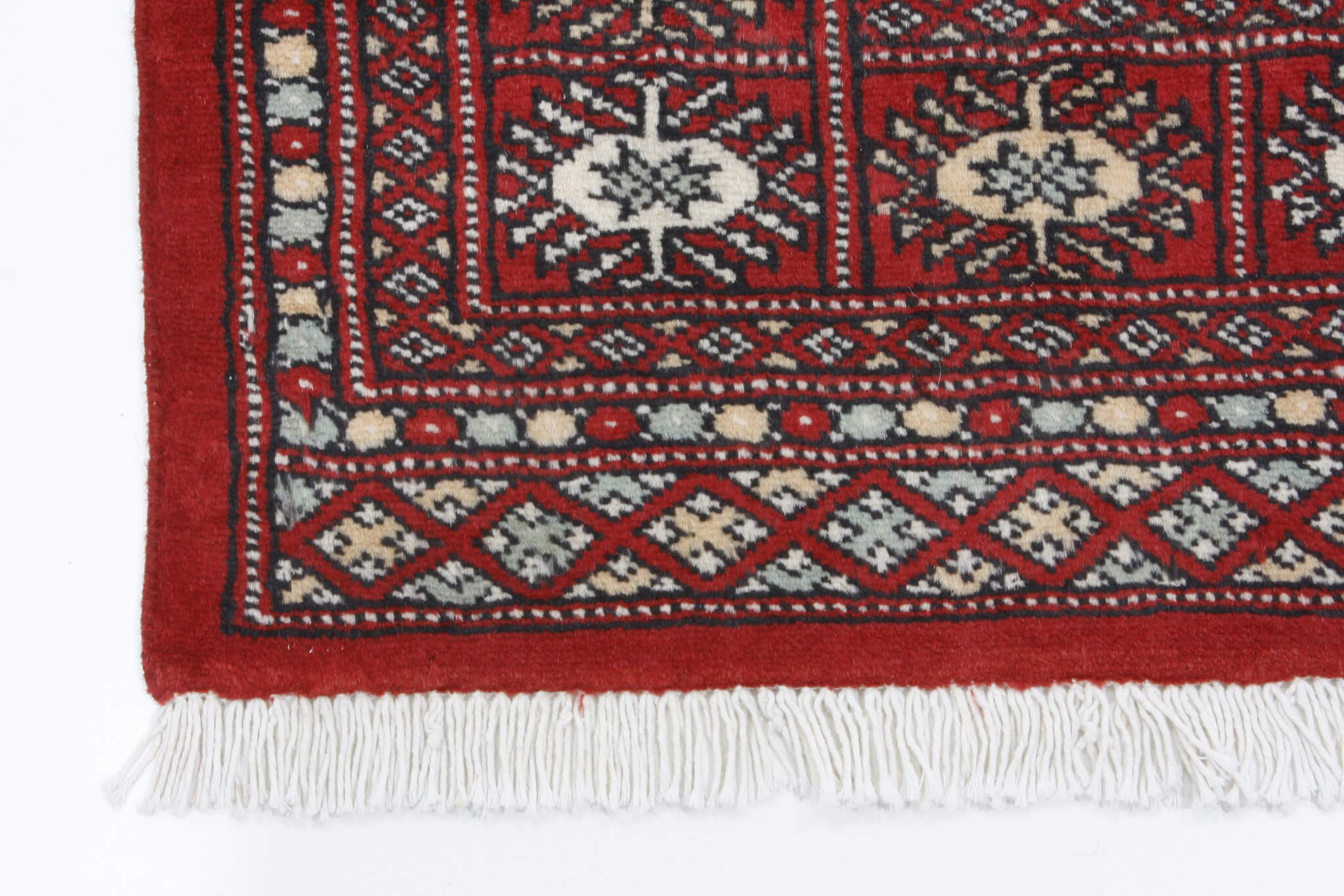 Oriental rug Bukhara Premium
