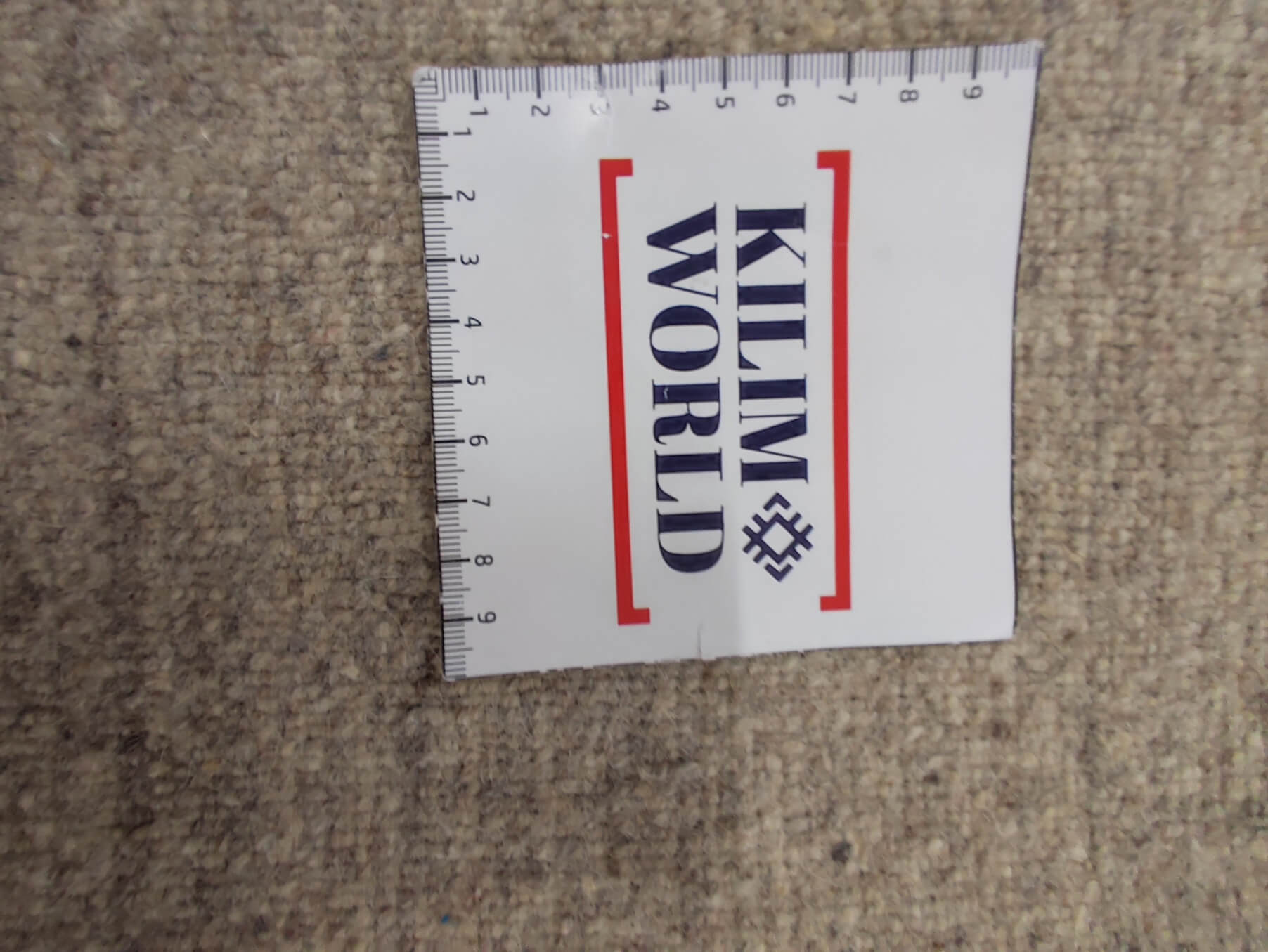 Modern rug Loribaft Exclusive