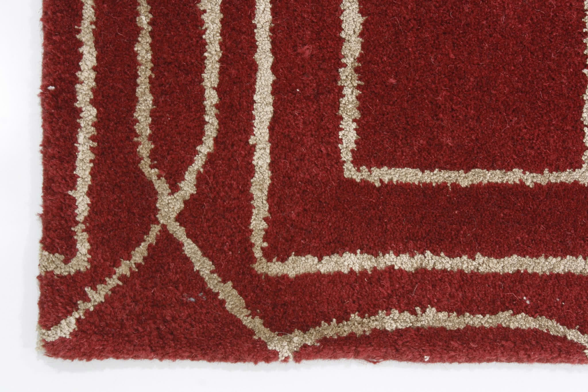 Oriental rug Carrara Premium
