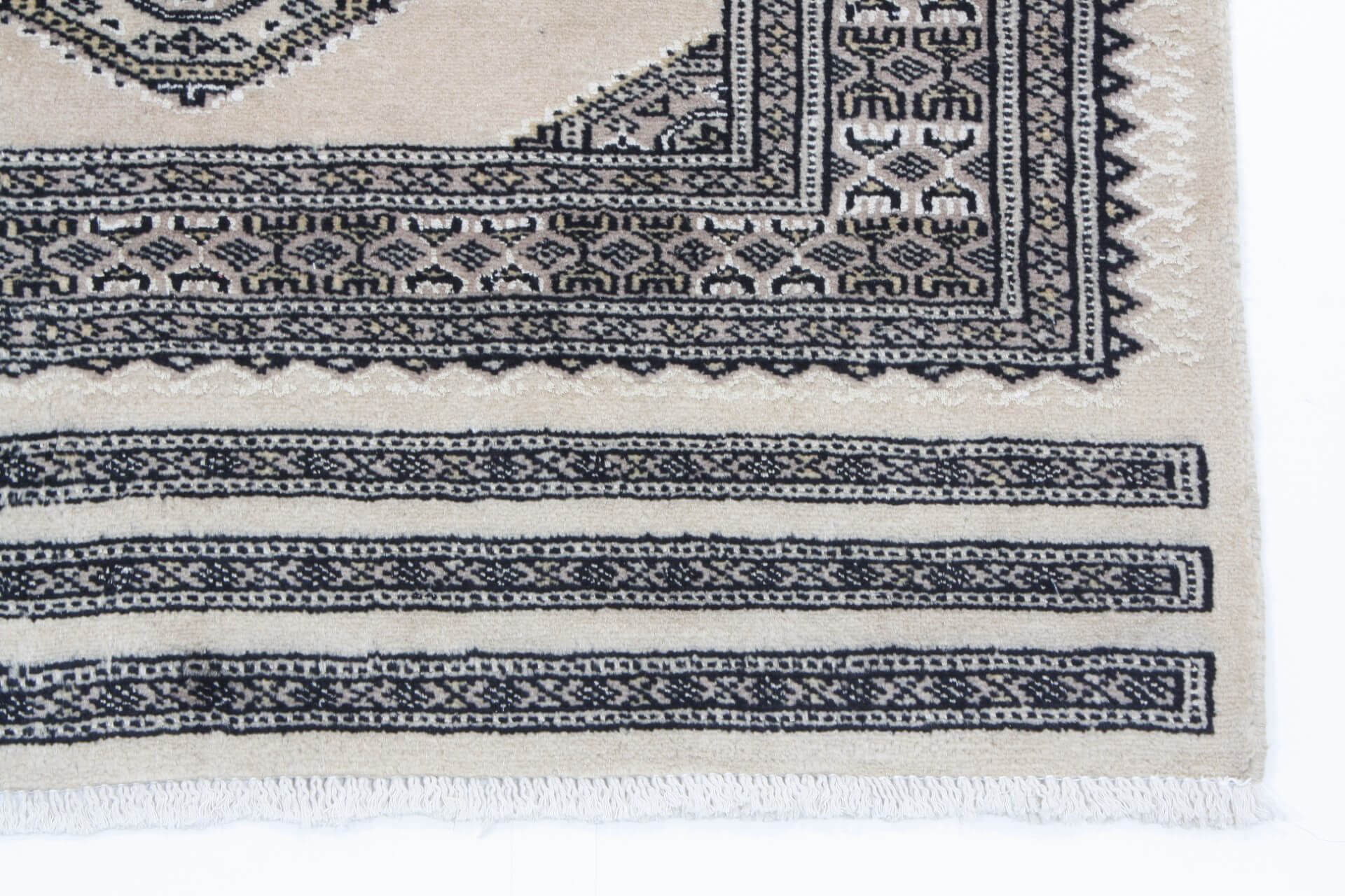 Oriental rug Jaldar Exclusive