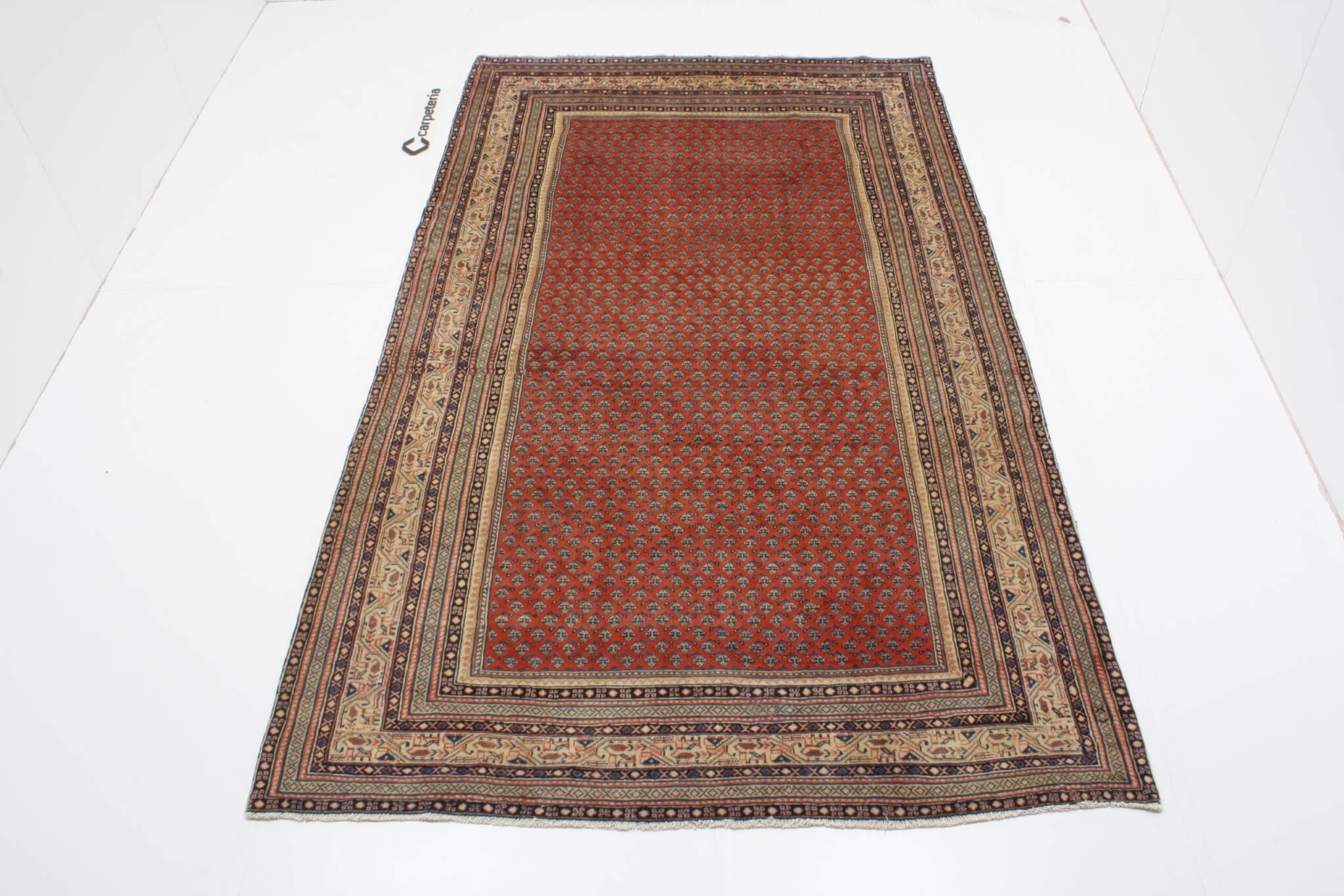 Persian rug Sarough Mir