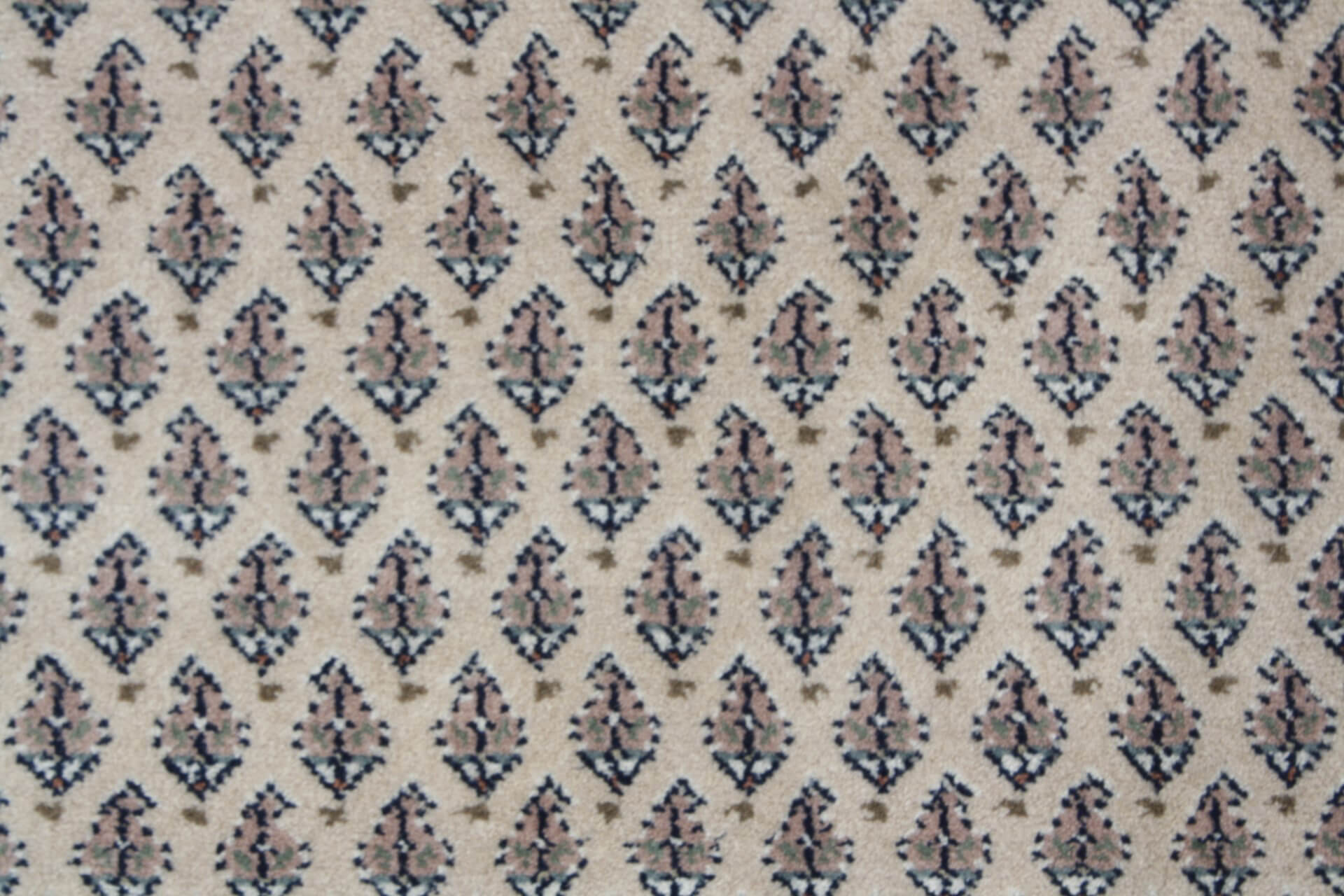Oriental rug Surat Corner floral sand