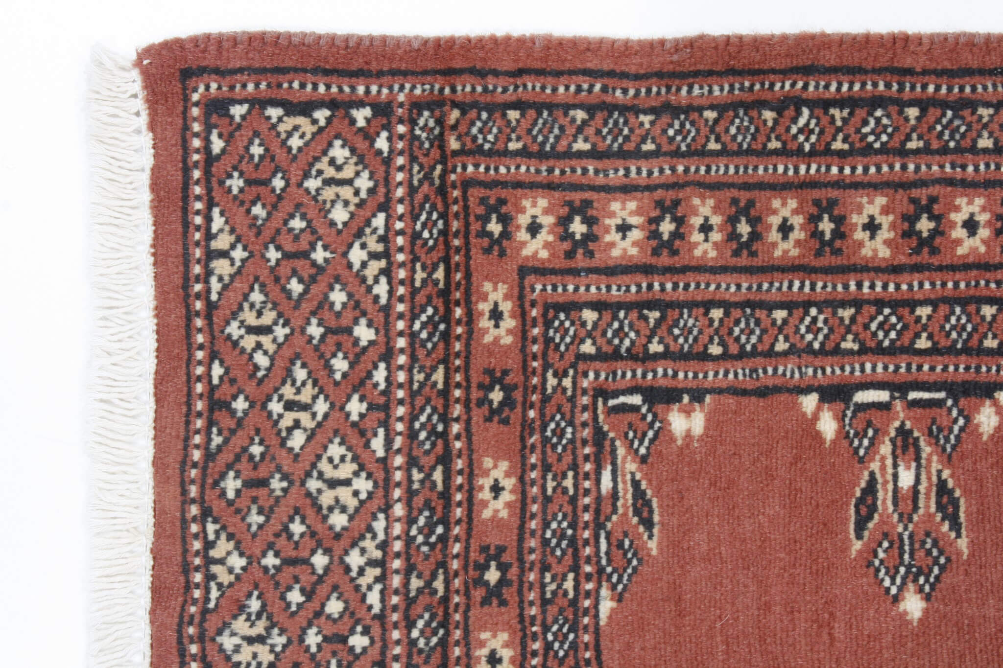 Oriental rug Bukhara Exclusive