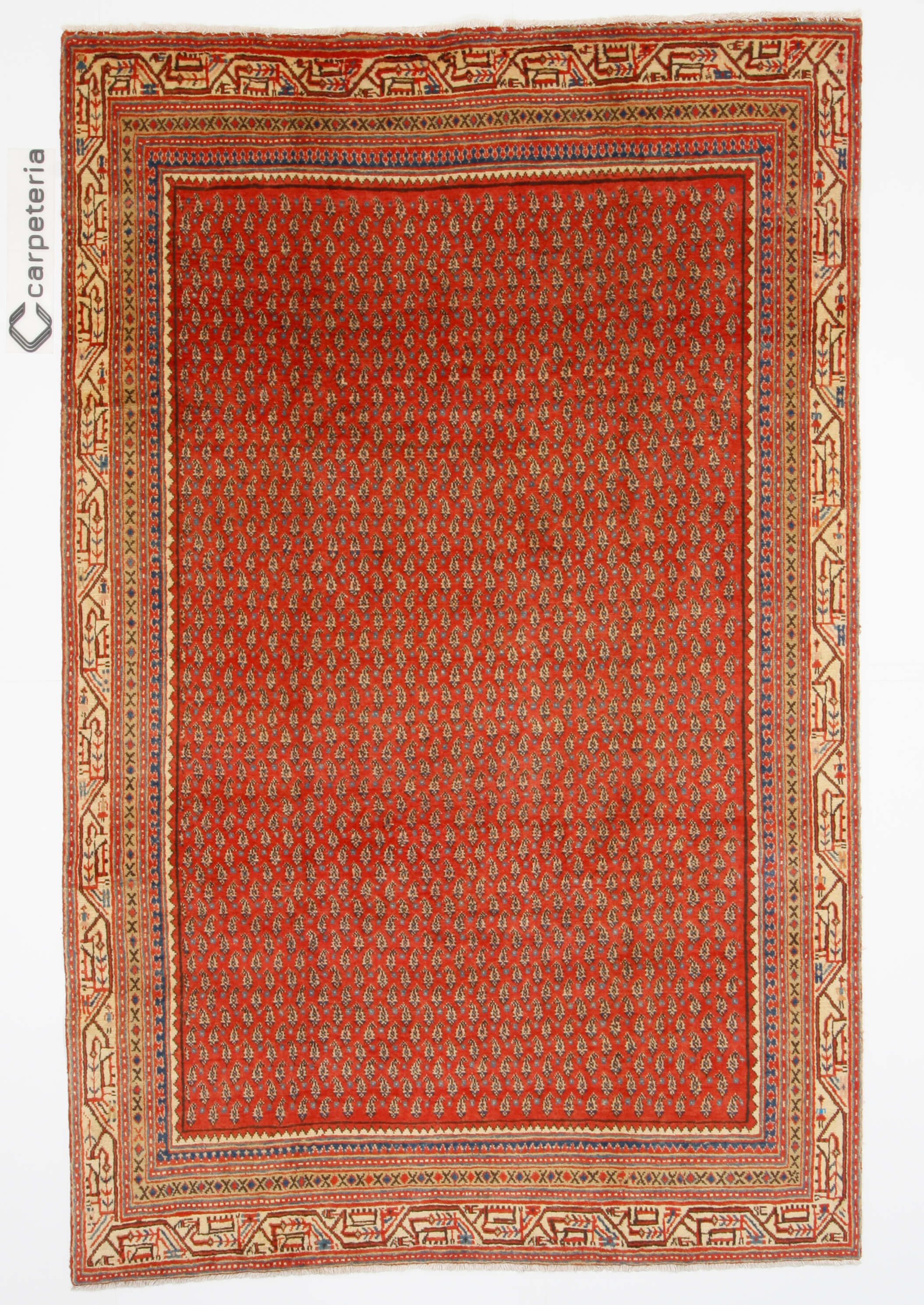 Persian rug Sarough Mir