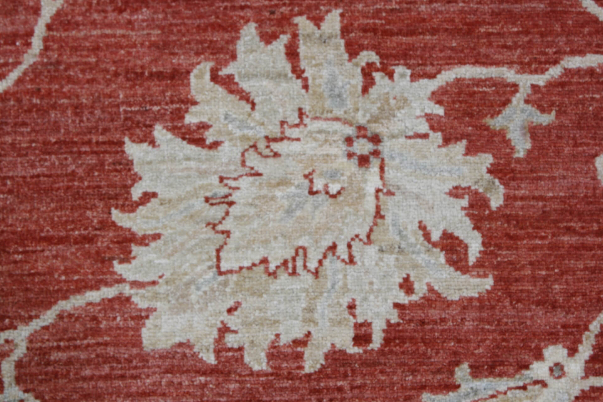 Oriental rug Ziegler Exclusive