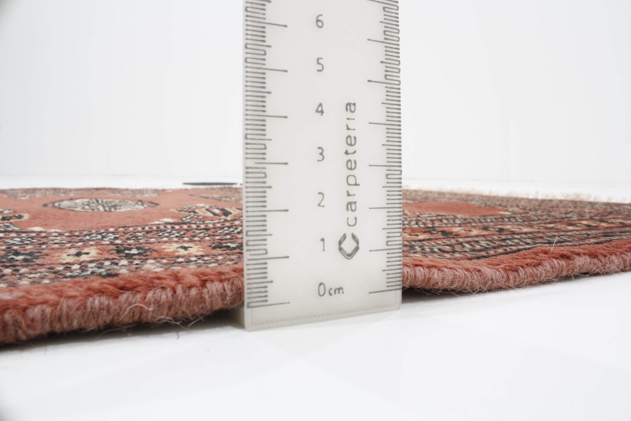 Oriental rug Bukhara Exclusive