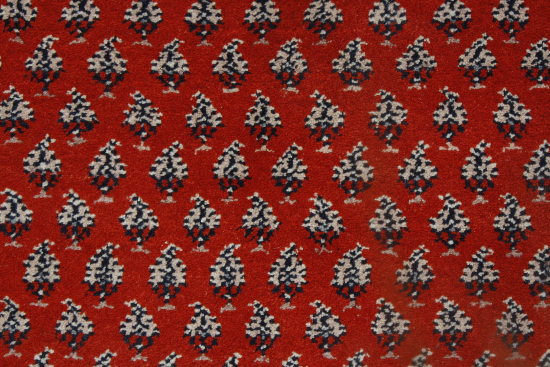 Oriental rug Mir